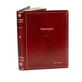 Shooting Script: Innerspace (1987)