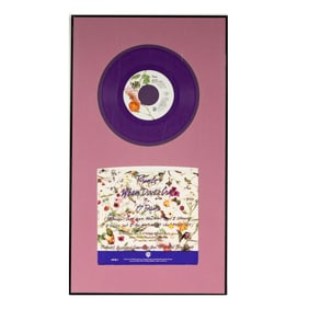 Prince "17 Days" Framed Vinyl Record