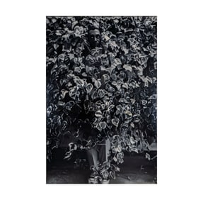 Dennis Hopper, 1936-2010, Bill Cosby (Chateau Marmont)