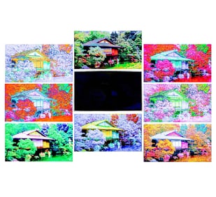 Les Mayers, American Contemporary, Japanese Tea House, n.d.