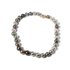 18 Karat Yellow Gold and South Seas Cultured Pearl Necklace