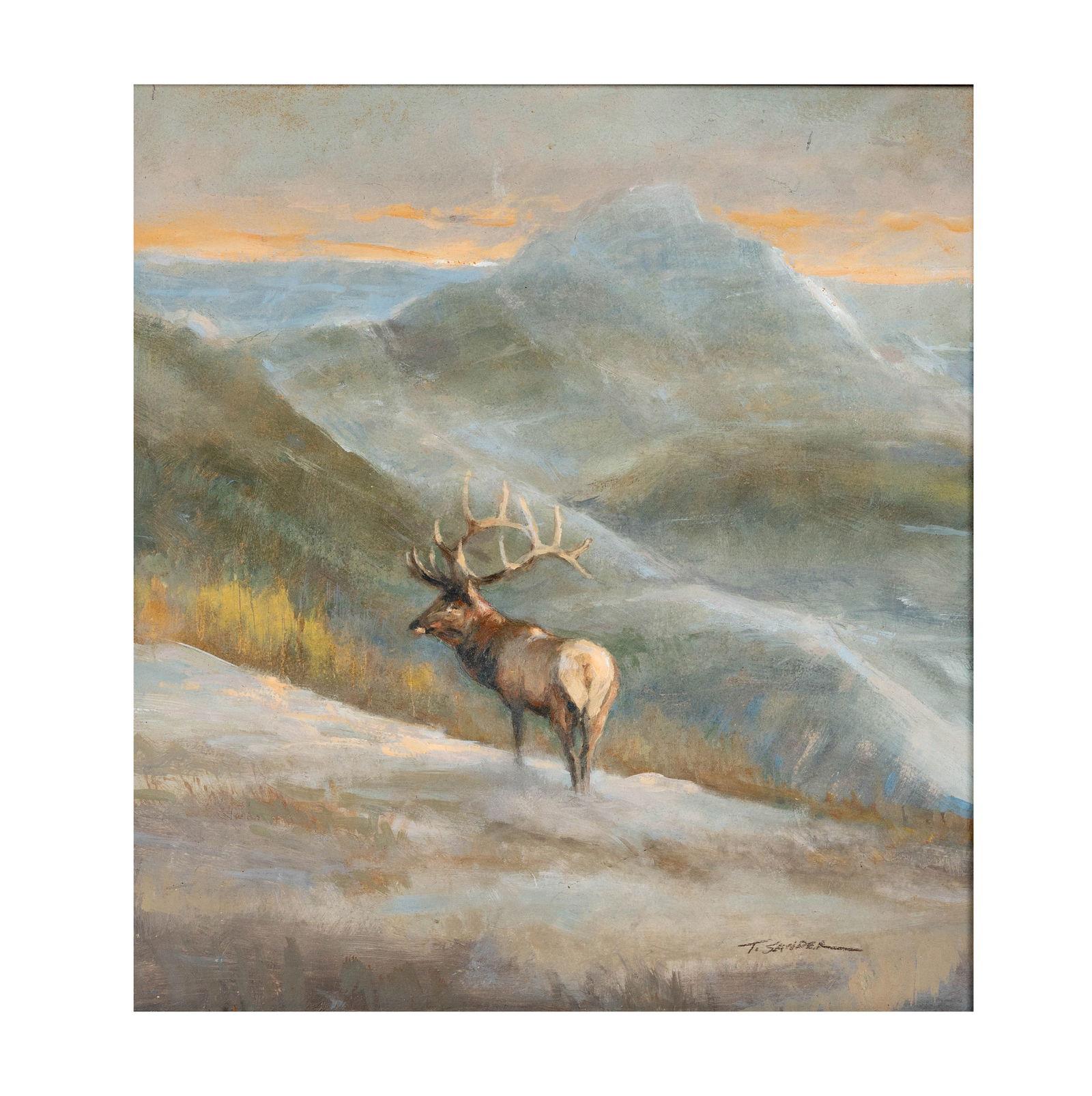 Tom Sander, B.1938, Solitary Elk (1 of 9)