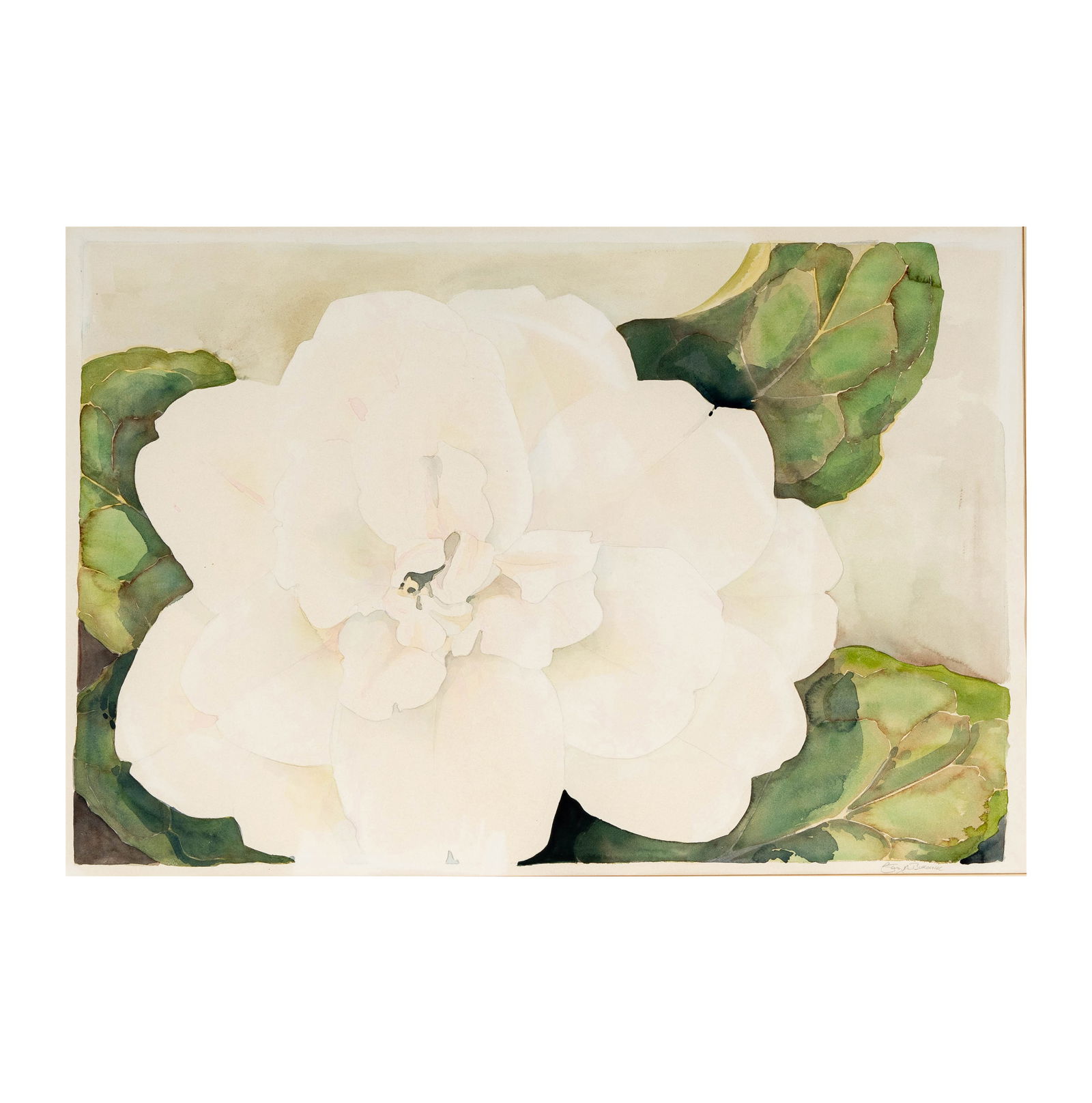 Gary Alan Bukovnik (b. 1947), Camellia: watercolor, signed in pencil lower right, titled to gallery label verso, Sight: 21 1/4 x 31 1/4 in., Frame: 27 3/4 x 37 1/2 in.