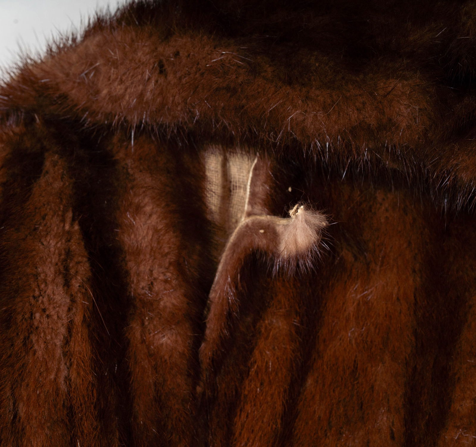 A Mink Coat - 8