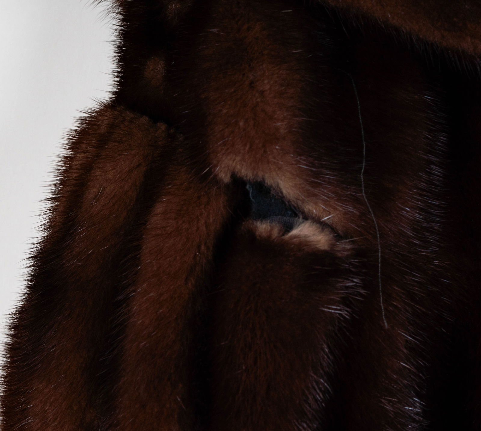 A Mink Coat - 14