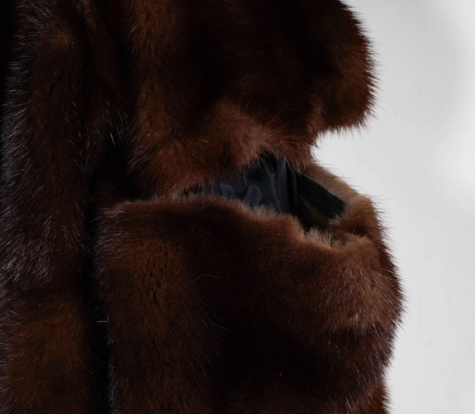 A Mink Coat - 15