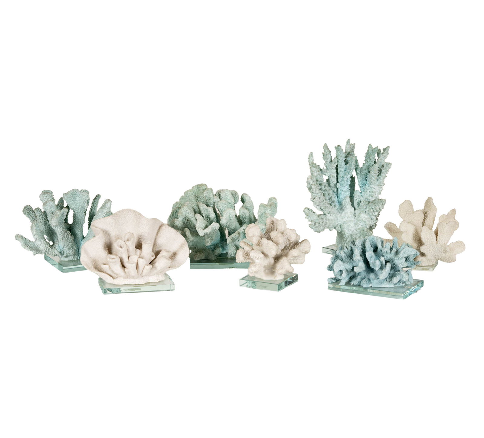 Seven Coral Specimens on Glass Stands (1 of 15)