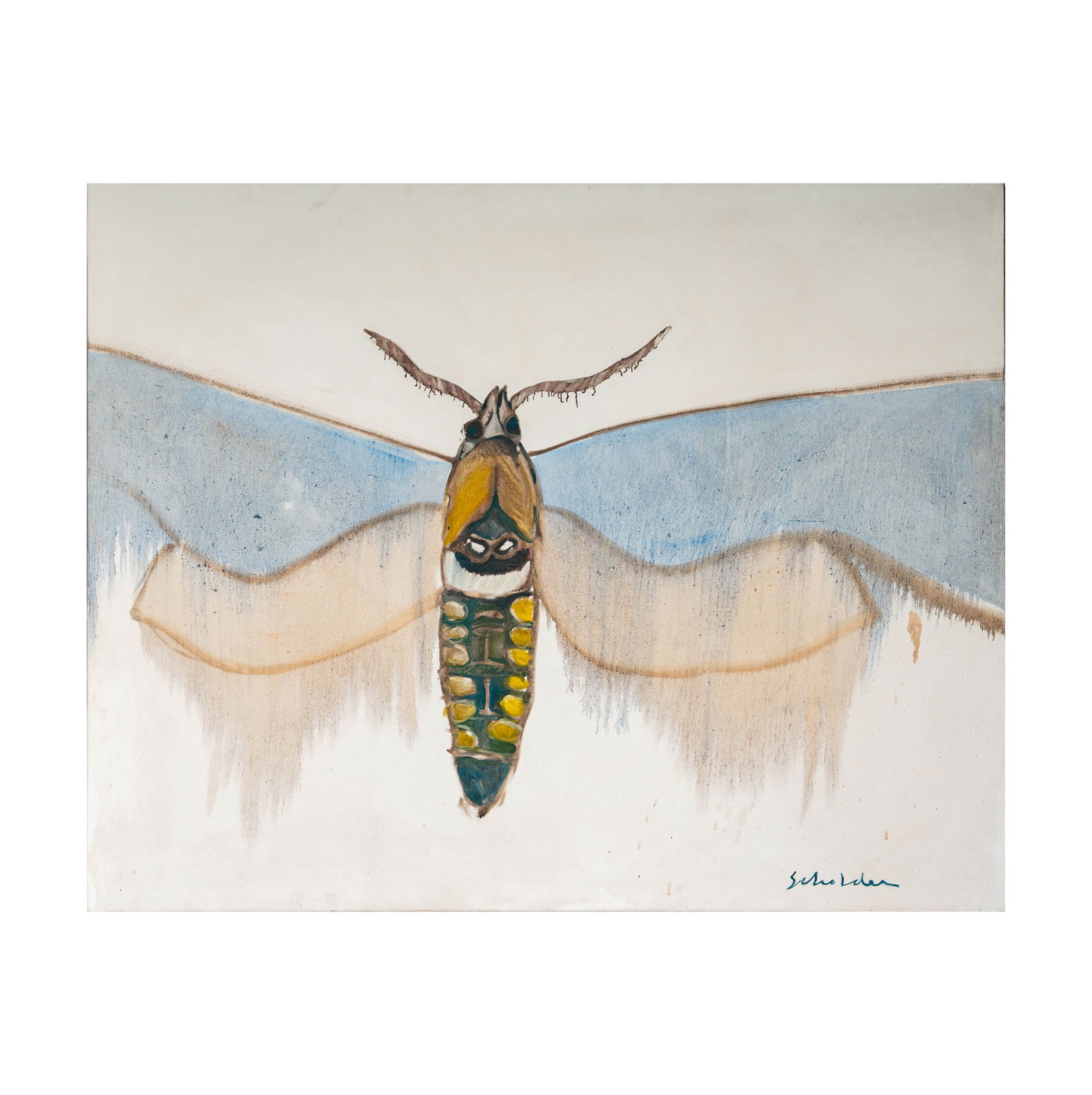 Fritz Scholder (1937 - 2005): Sphinx Moth (1 of 14)