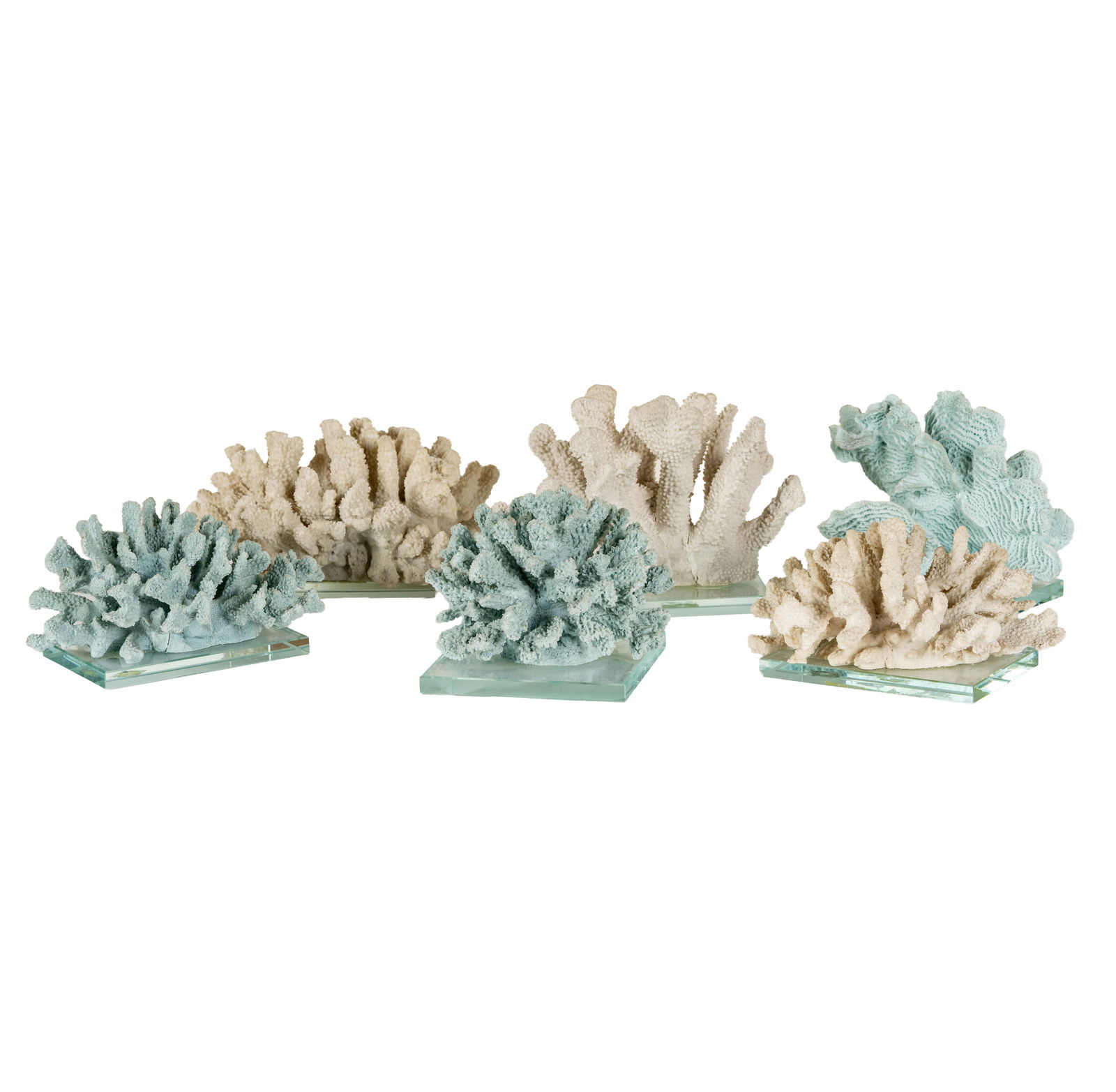 Six Coral Specimens on Glass Stands: ranging from 4 3/4 x 10 x 8 in. to 7 3/4 x 10 1/4 x 7 in.