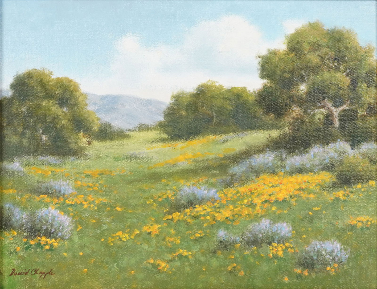 David Chapple (Born 1947), Spring Bloom: 11 x 14 in. frame: 14 3/4 x 17 3/4 in. signed lower left