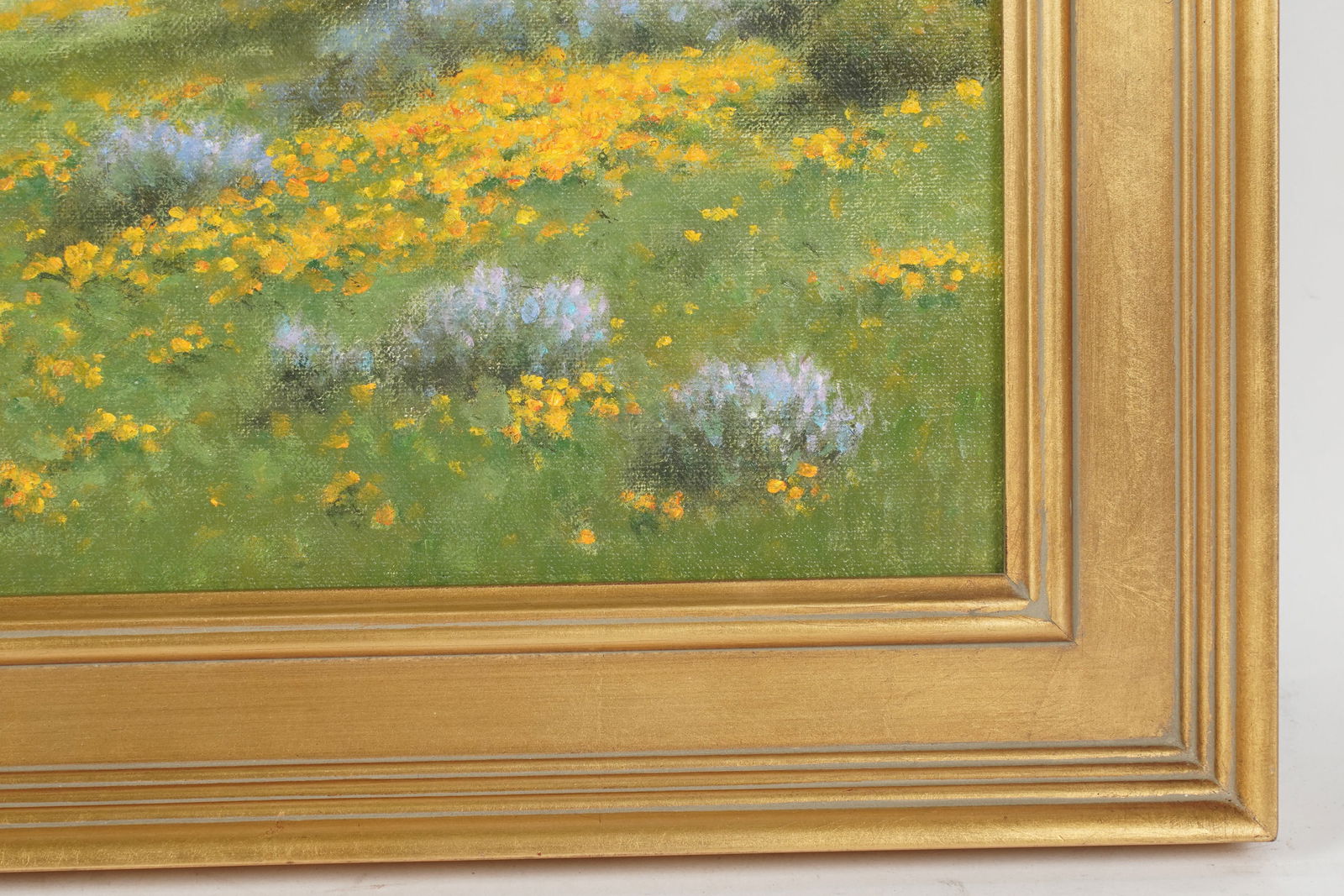 David Chapple (Born 1947), Spring Bloom - 3