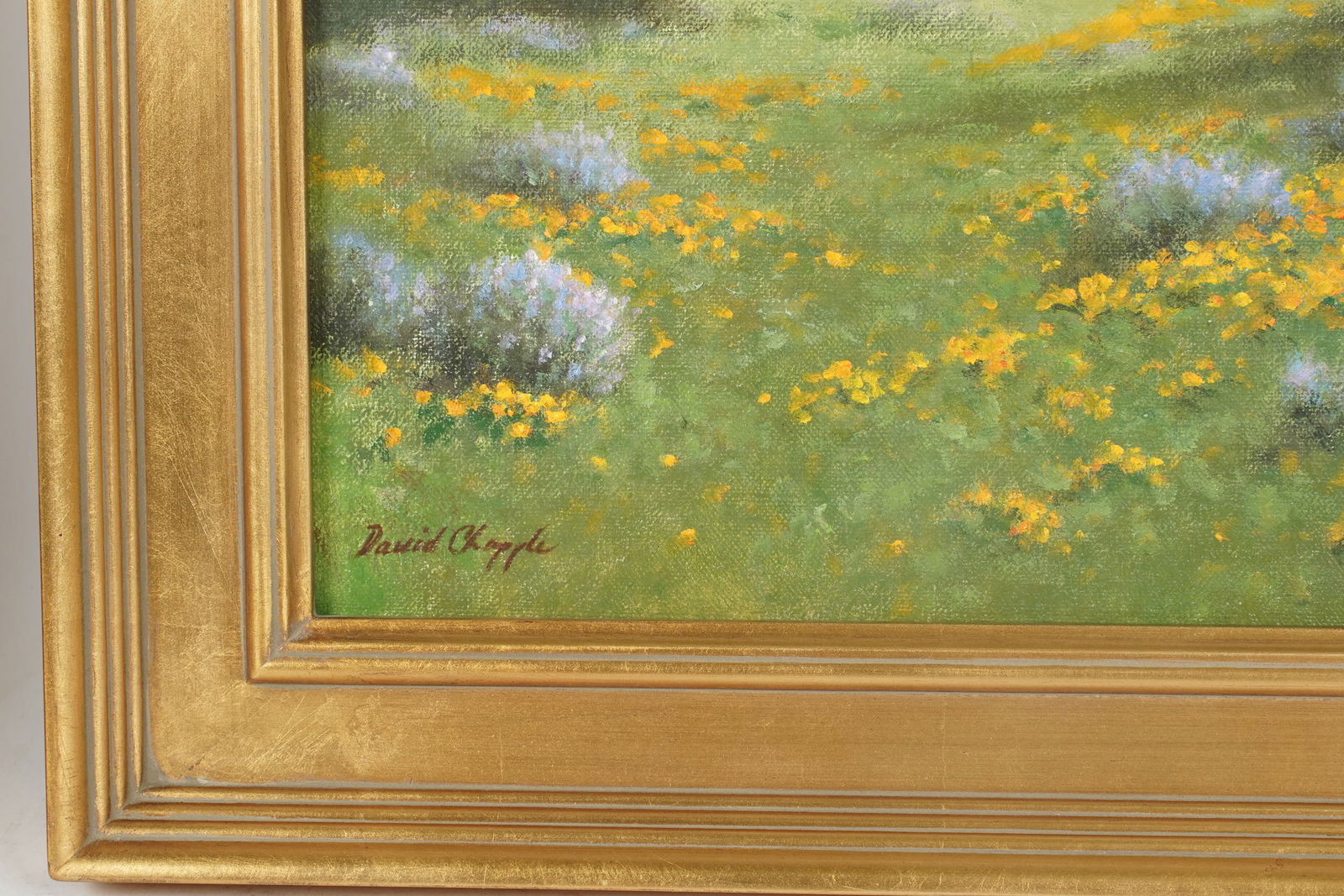 David Chapple (Born 1947), Spring Bloom - 4