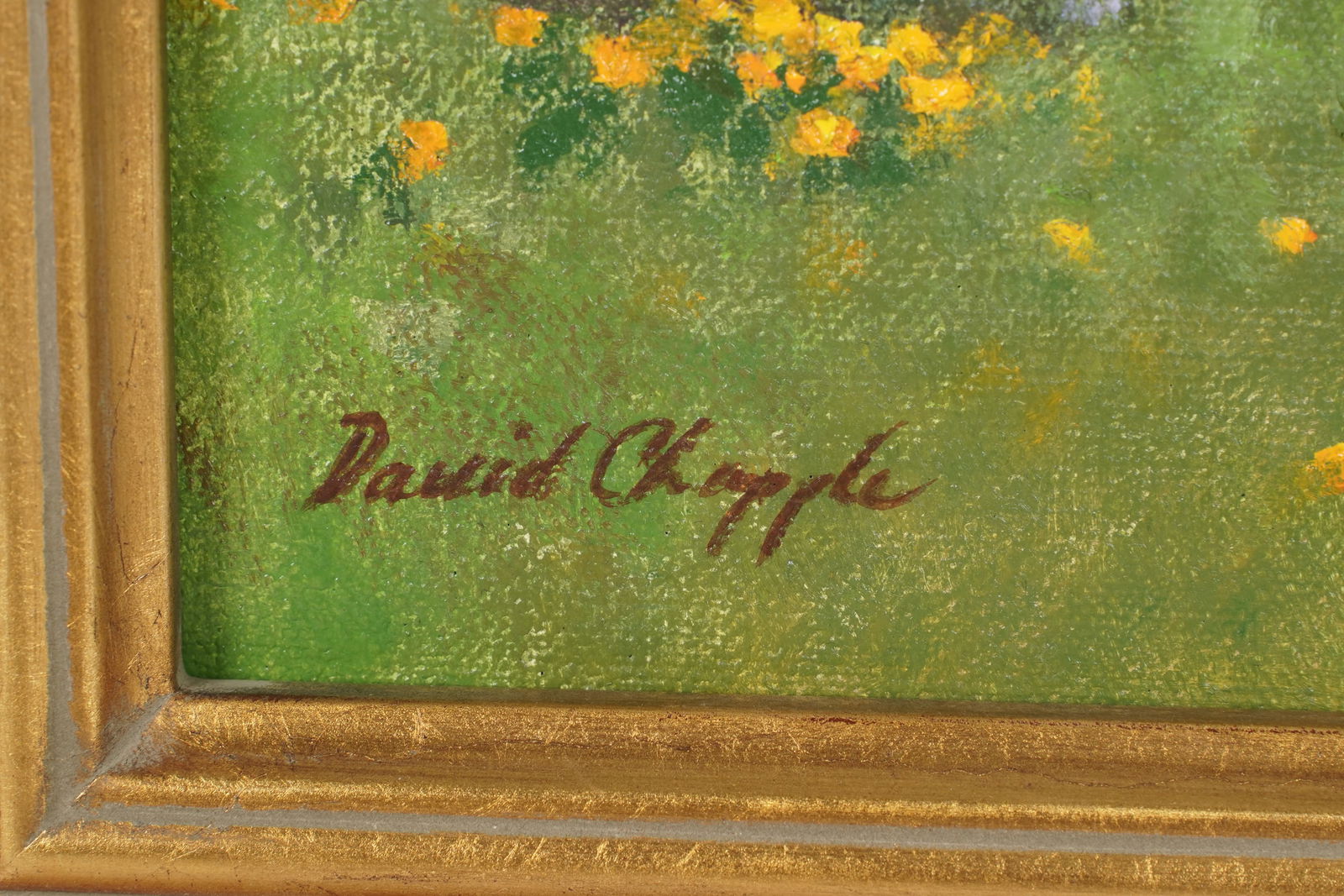 David Chapple (Born 1947), Spring Bloom - 5