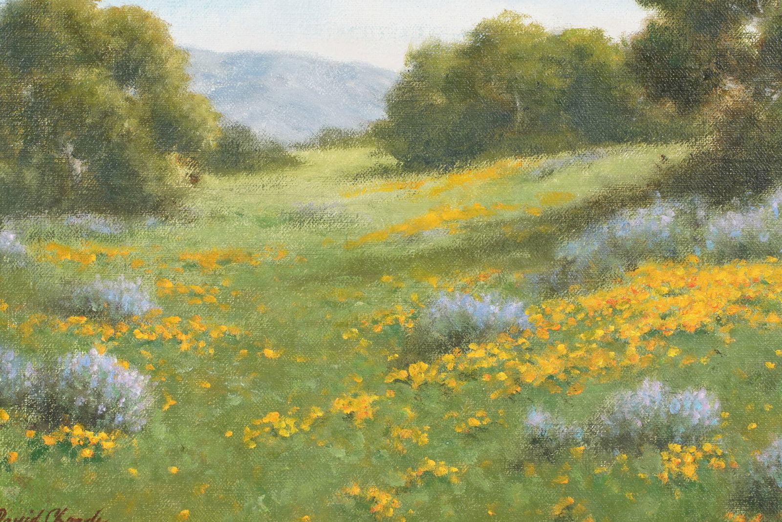 David Chapple (Born 1947), Spring Bloom - 6