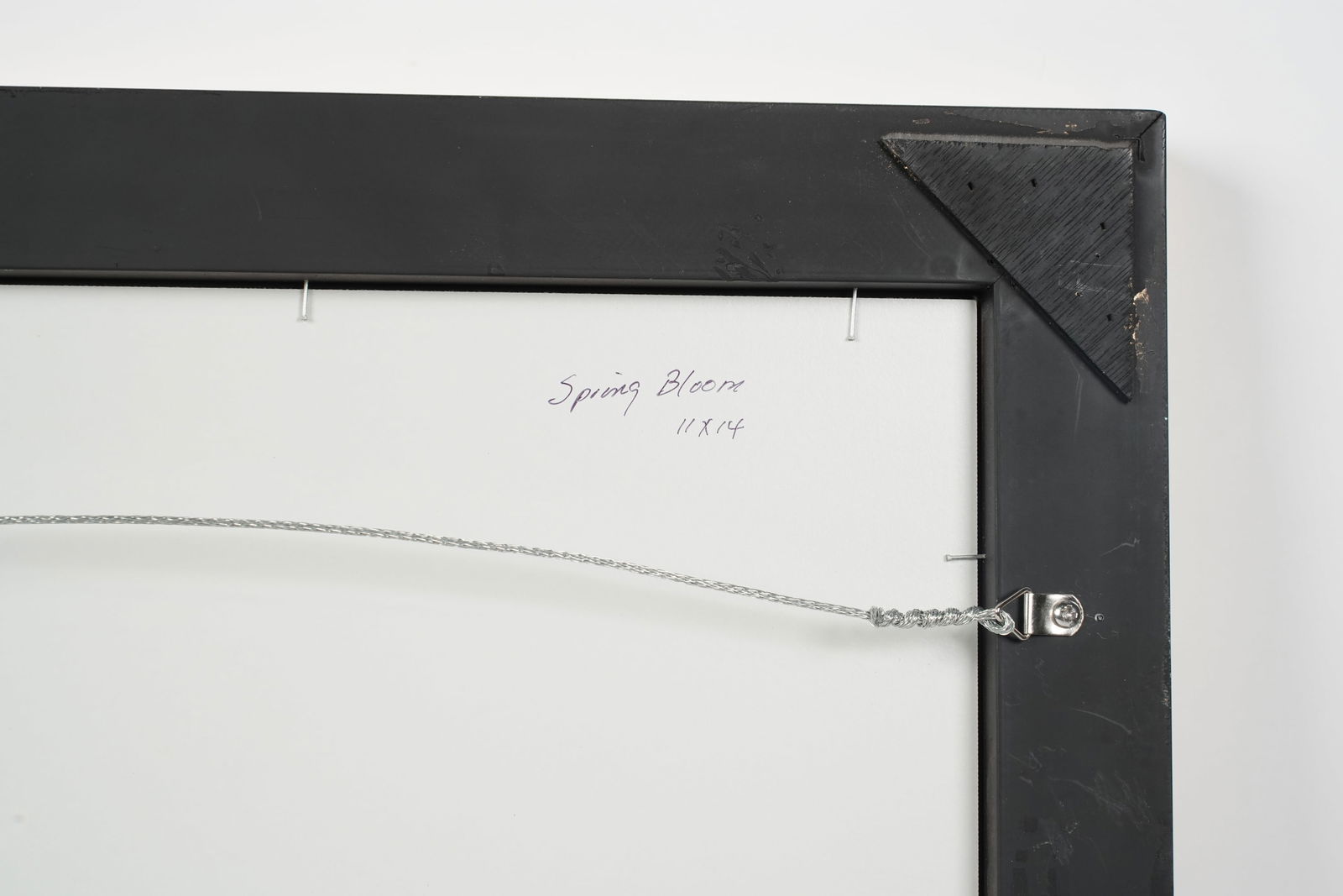 David Chapple (Born 1947), Spring Bloom - 8