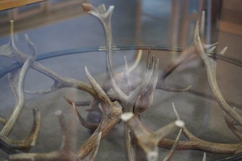 Antler Coffee Table - 2