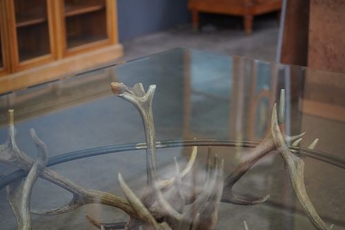 Antler Coffee Table - 4