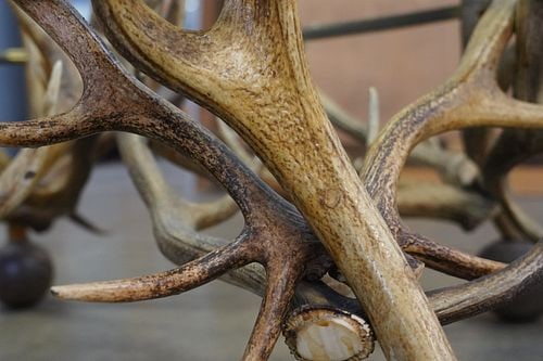 Antler Coffee Table - 8