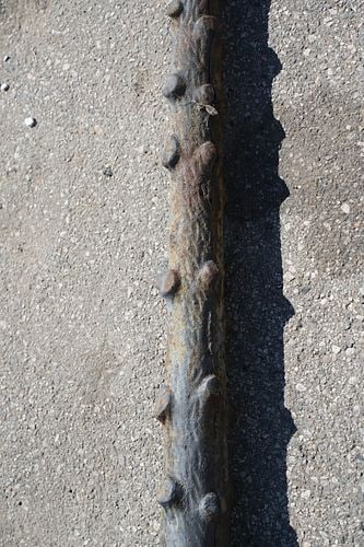 Antique Tree-Form Mule Post - 3