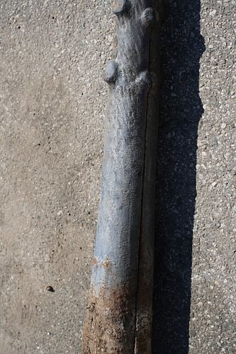 Antique Tree-Form Mule Post - 5