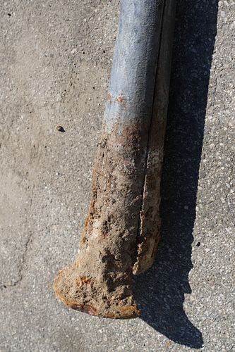 Antique Tree-Form Mule Post - 6