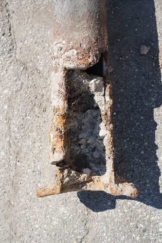 Antique Tree-Form Mule Post - 7