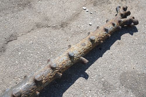 Antique Tree-Form Mule Post - 9