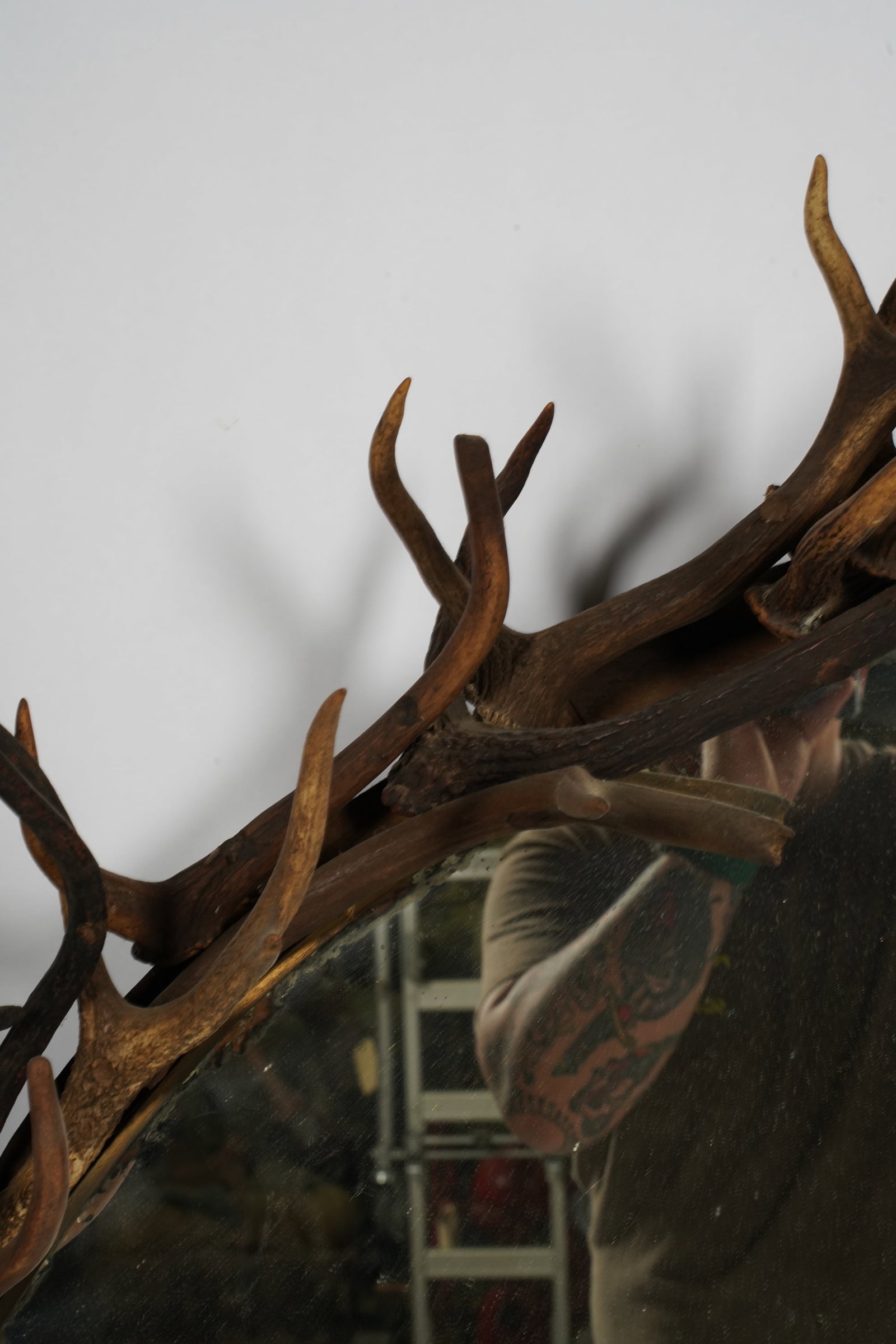 Antler Frame Mirror - 3