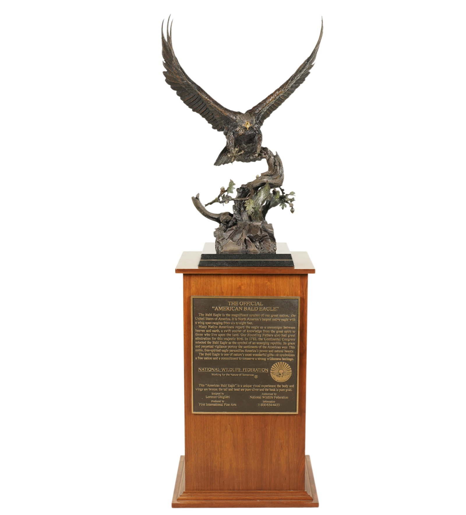 Lorenzo E. Ghiglieri (1931-2020), American Bald Eagle (1 of 13)