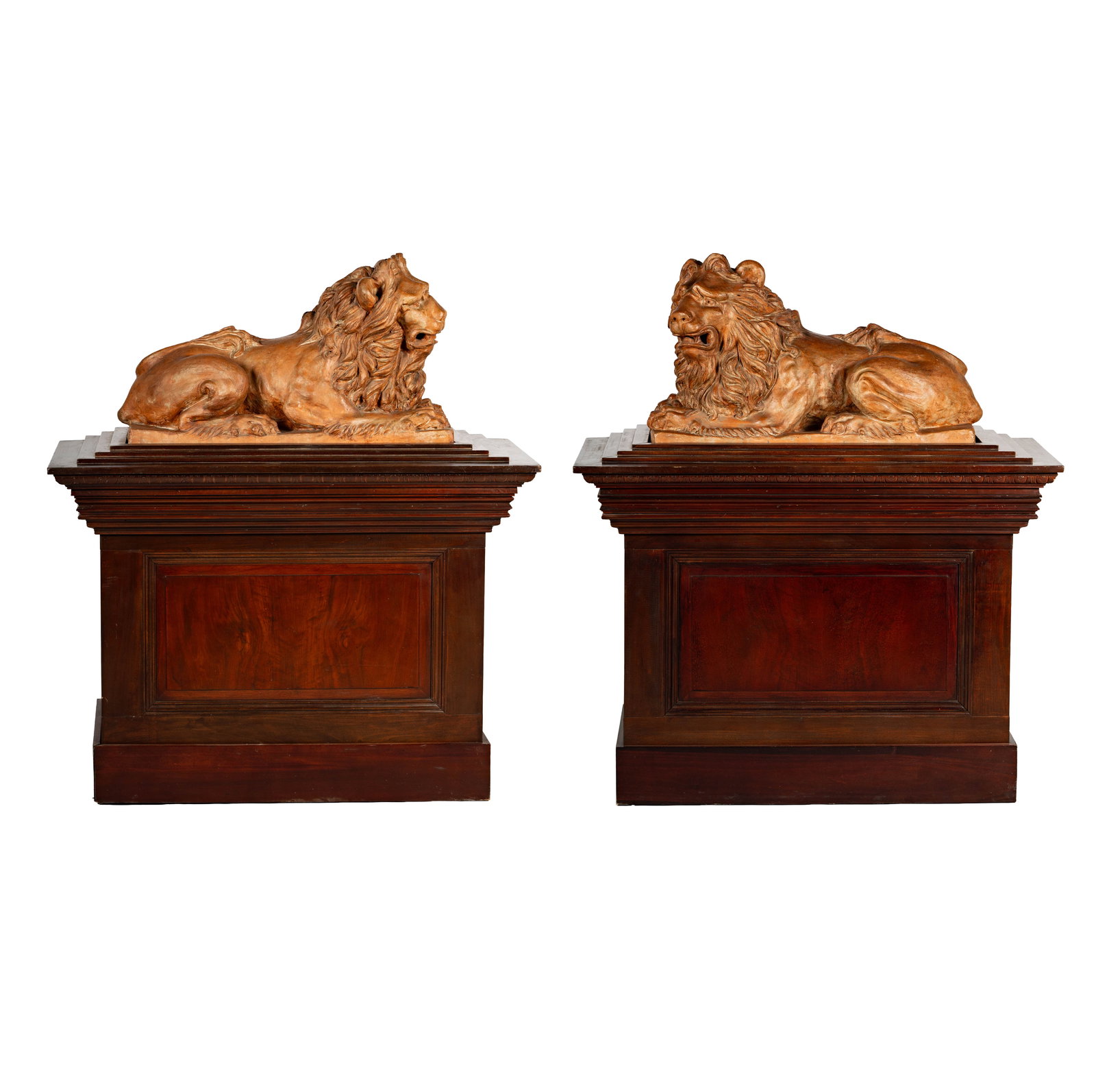 A Pair of Monumental Hand Molded Terra Cotta Lions: Each set upon a custom designed wooden pedestal style base. Lions; 21h x 35w x 12d ins. Bases 35h x 49w x 15d ins.