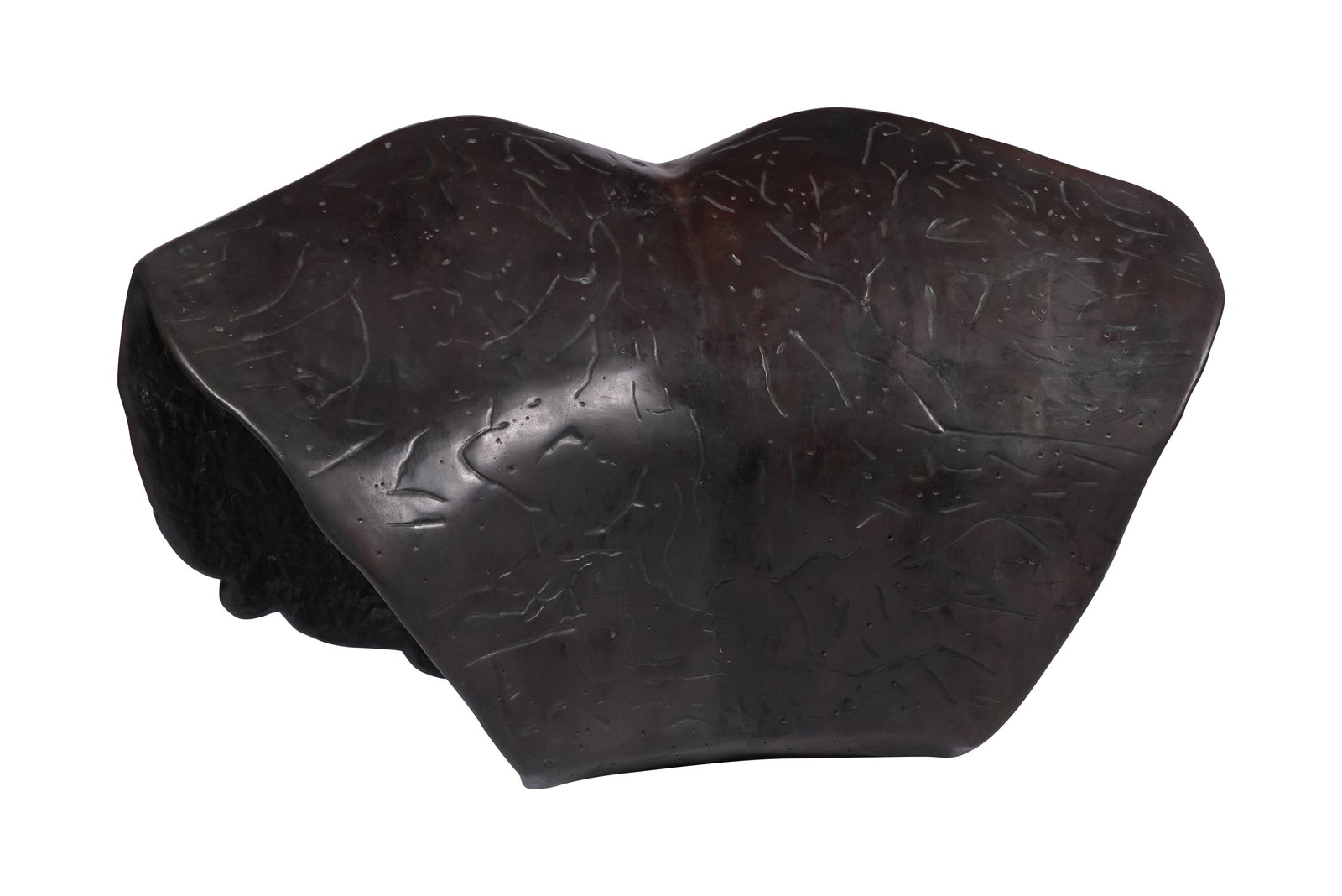 Charles Fine (B. 1951), Hueso (1 of 7)