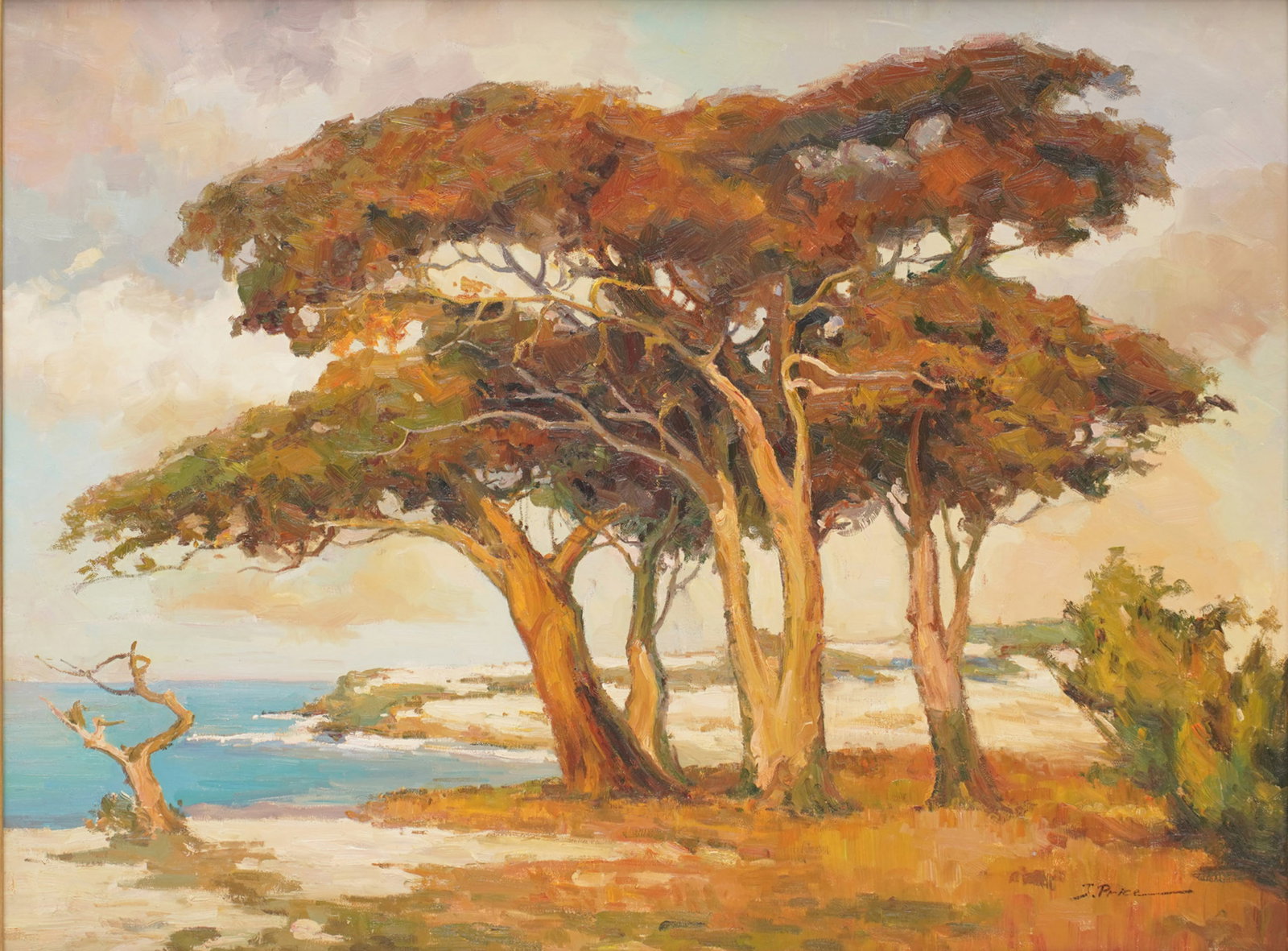 Monterey Coastal with Trees Painting: Oil on canvas painting depicting trees along a coastline. Presented in a gold-tone frame. Signed lower right. , sight: 29 3/4 x 39 1/2 in., frame: 39 x 49 in.