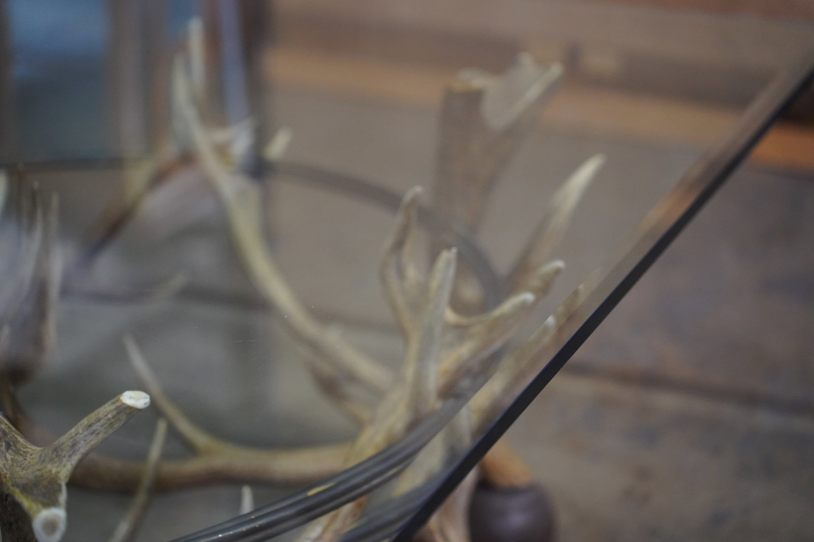 Antler Coffee Table - 3