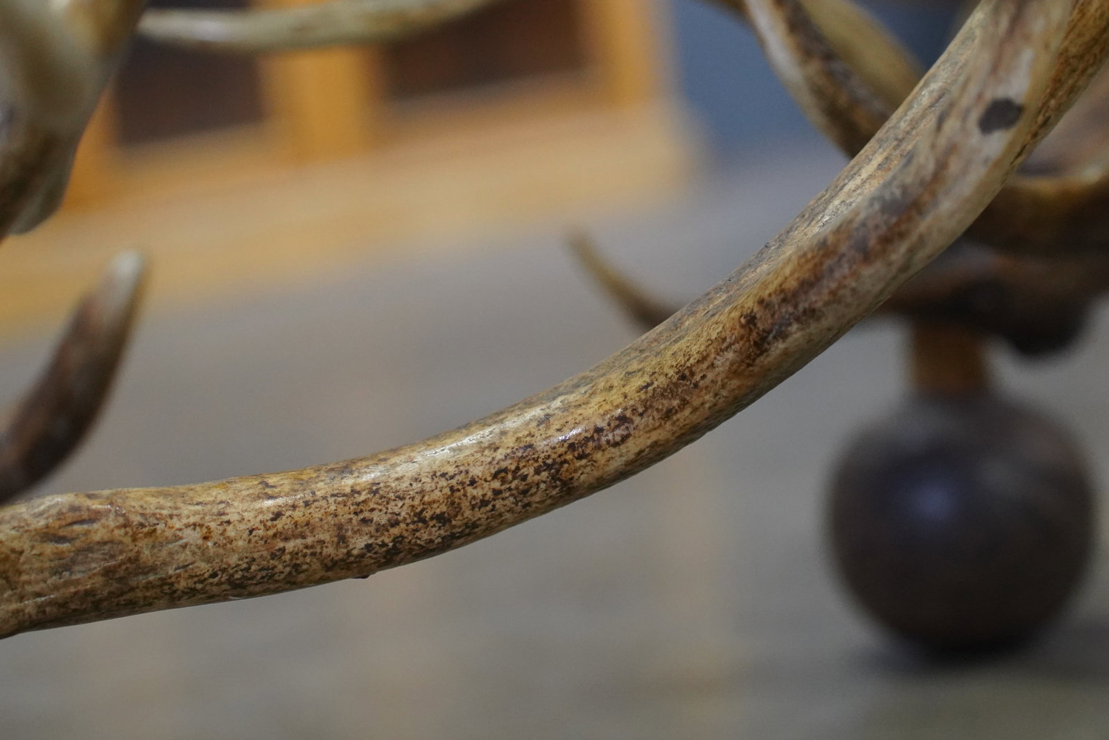 Antler Coffee Table - 9