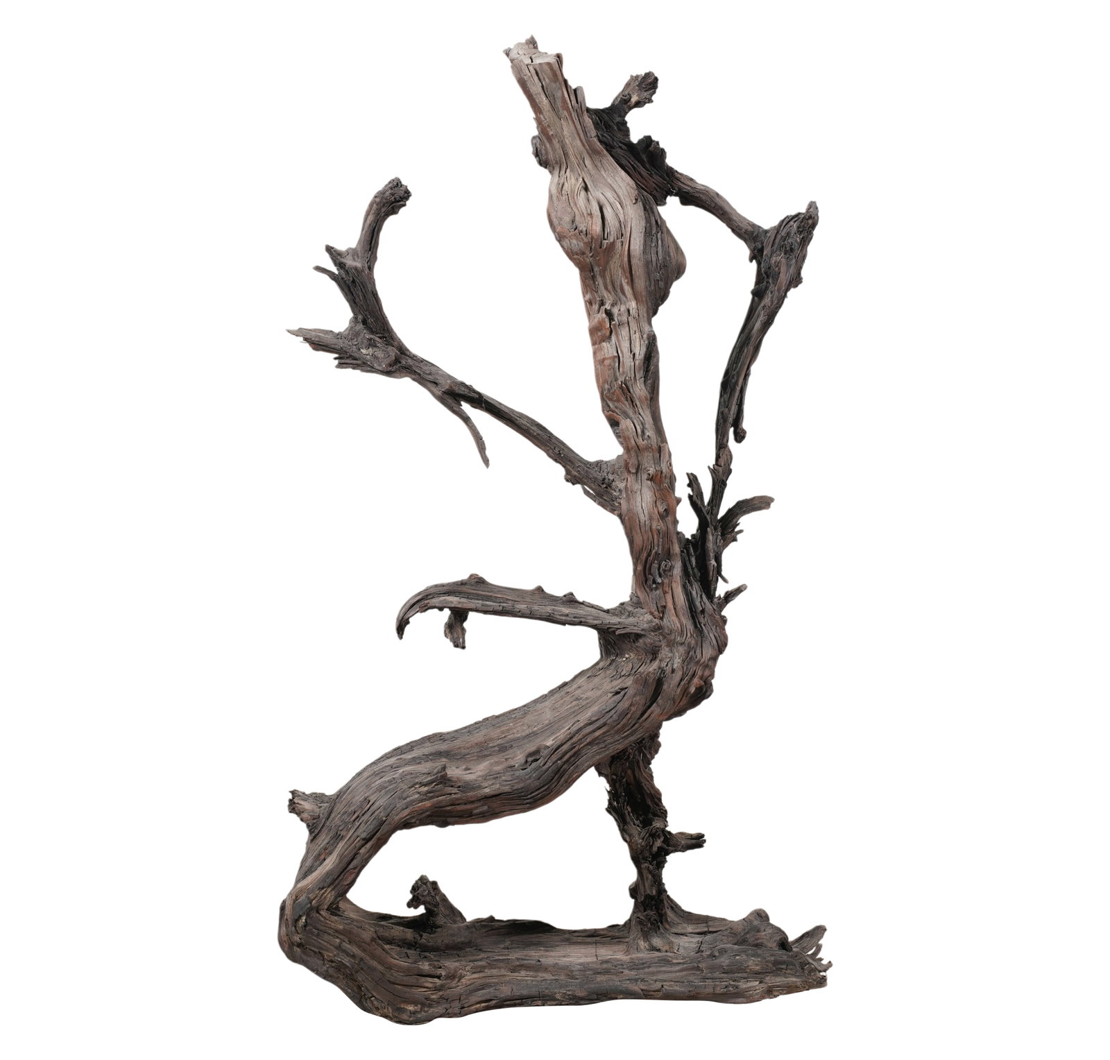 A Driftwood Sculpture: A Driftwood Sculpture on acrylic base Overall: 43 x 33 x 11 1/2 in. (109.2 x 83.8 x 29.2 cm.)