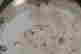 item-40928551=2