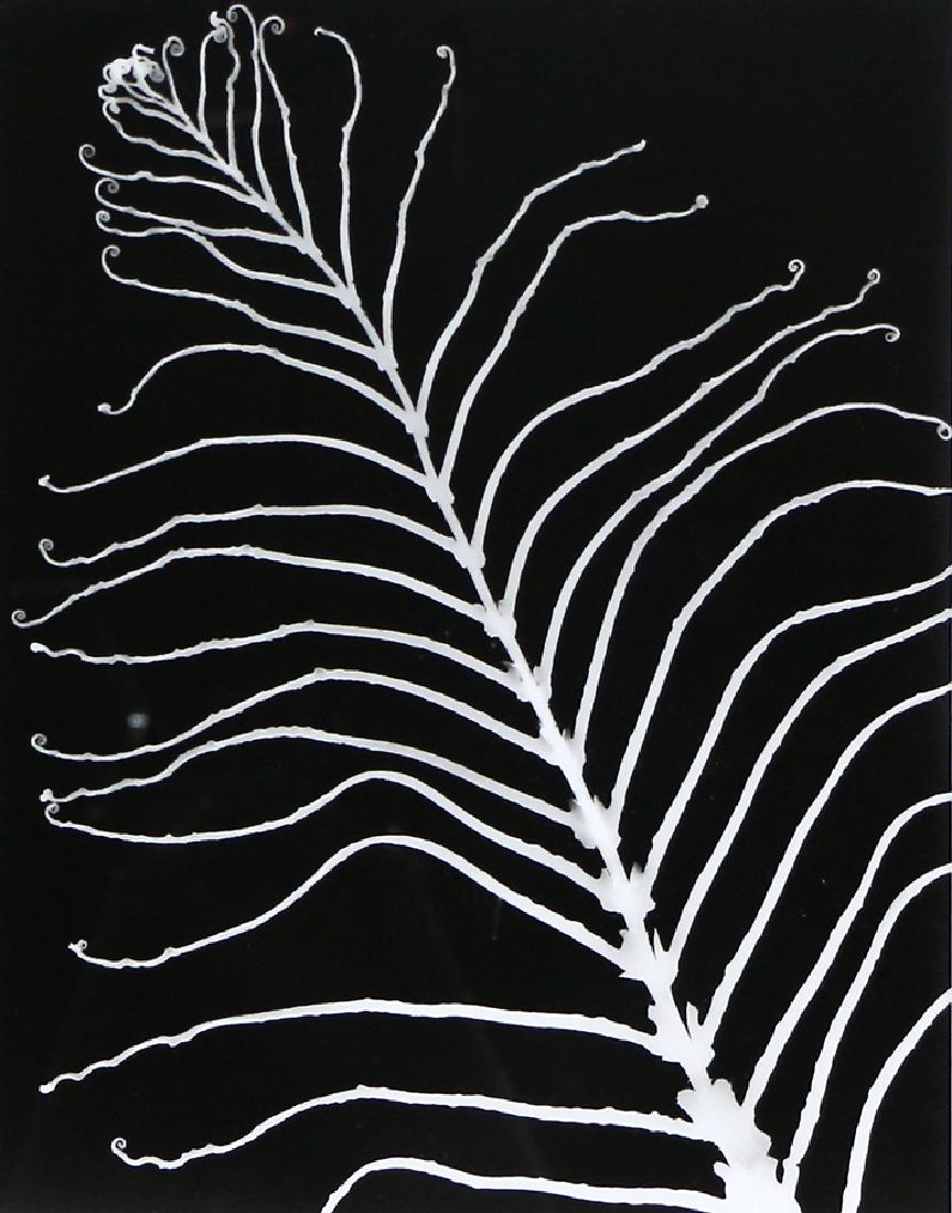 Adrienne Grant (1 of 1)