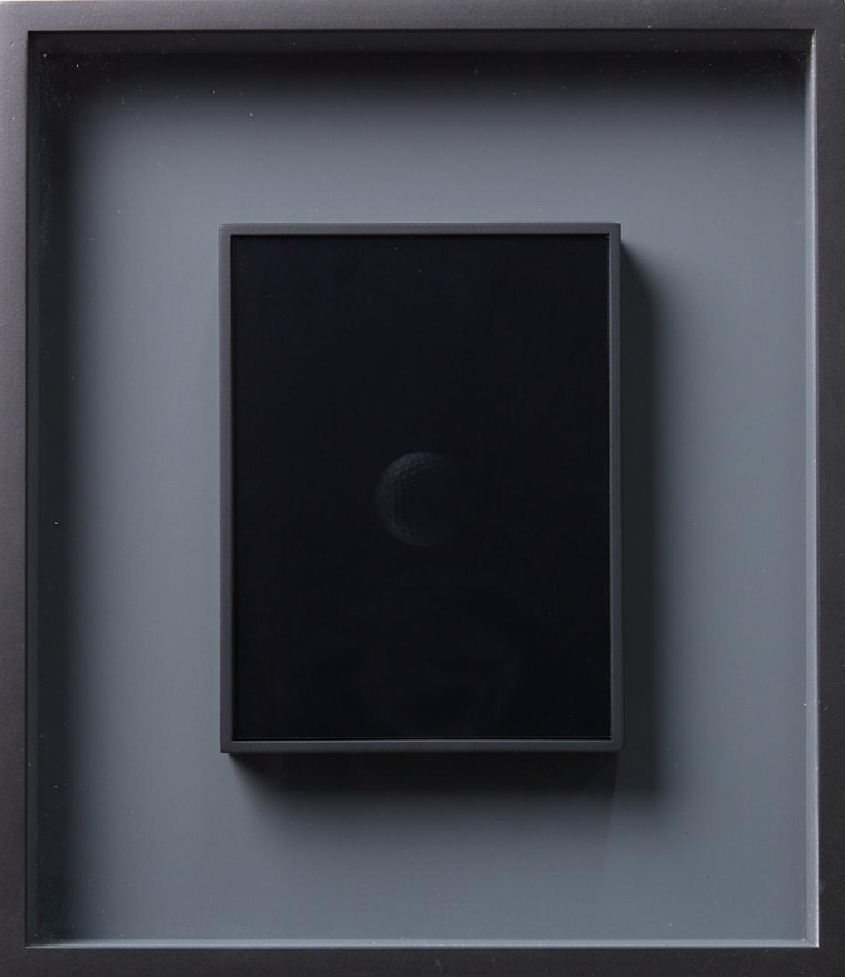 Michael Parekowhai (1 of 1)