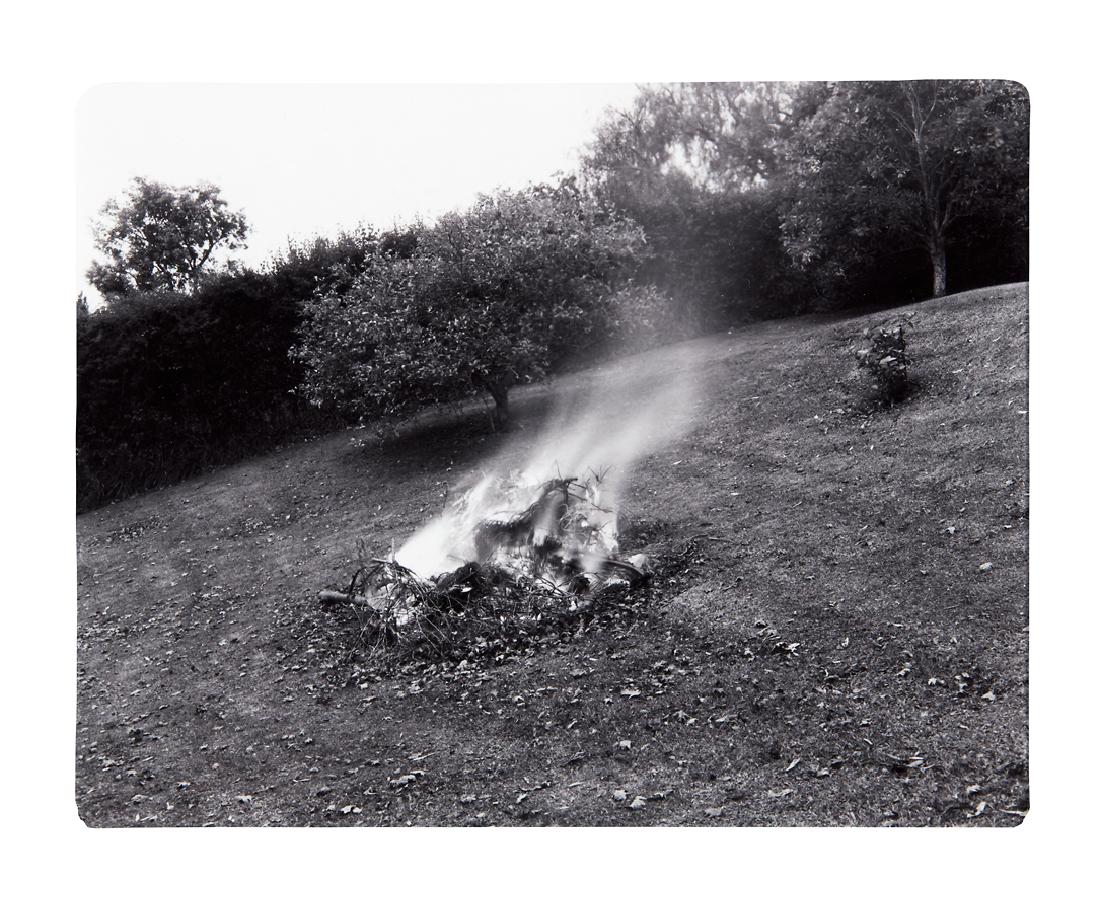 Marie Shannon: Garden Fire gelatin silver print title inscribed, signed and dated 1983 and inscribed To Les and Milly with Best Wishes verso 90 x 115mm Provenance: Gift of Marie Shannon and Julian Dashper, 20 Decemb