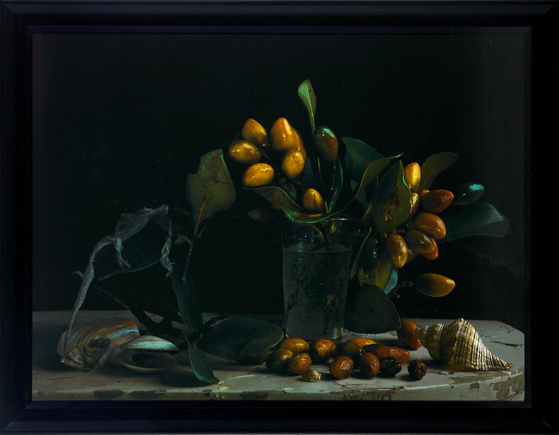 Fiona Pardington (1 of 1)