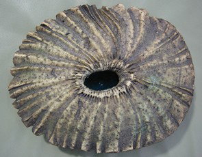 Len Castle: Sea secret, earthenware with blue glazed interior. Impressed initials, D.340mm