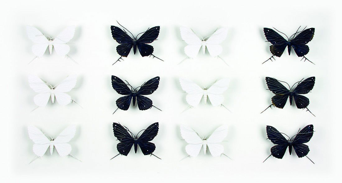 Elizabeth Thomson: The Black and Whites XII patinated bronze on acrylic on board title inscribed, signed and dated 2005 verso 750 x 1350mm