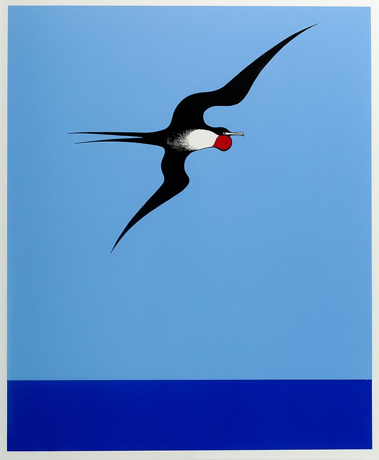 Don Binney: Pacific Frigate Bird screenprint from the Barry Lett Gallery multiples 577 x 480mm