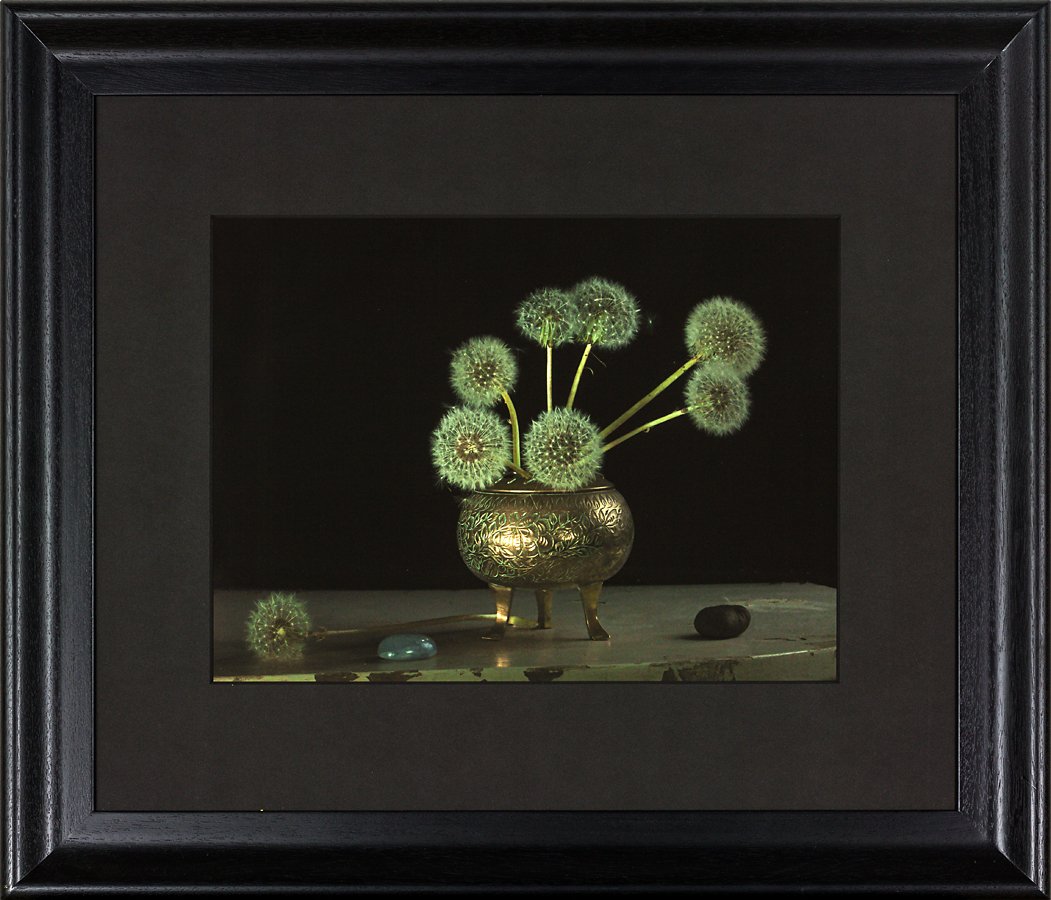 Fiona Pardington (1 of 1)