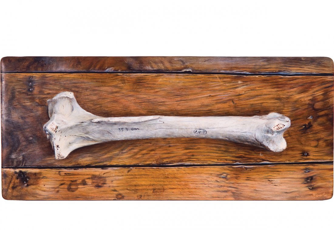 Hamish Foote (1 of 1)