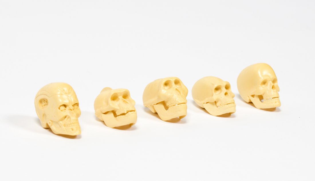 Ricky Swallow: Evolution (In order of appearance) resin, five parts (1999) 40 x 60 x 30mm: each part 40 x 60 x 30mm: each part Provenance: Private Collection Wellington