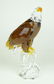 174: SWAROVSKI CRYSTAL THE BALD EAGLE