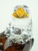 174: SWAROVSKI CRYSTAL THE BALD EAGLE - 5