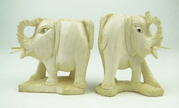 PAIR OF LARGE CARVED IVORY ELEPHANTS: PAIR OF LARGE CARVED IVORY ELEPHANTS Each Approximately 3 Inches Long 3 Inches Tall Very Good To Excellent Condition except small chips to tusks, SHIPPING U.S. ONLY $20 PLUS INS