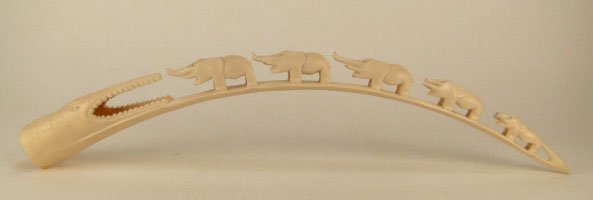 VINTAGE CARVED WALRUS TUSK: VINTAGE CARVED WALRUS TUSK with a parade of 5 Elephants Walking into a Crocodiles Mouth Measures Approximately 24 Inches Long Minor Chipping & Losses Especially to Elephant Trunks and Tusks, WE WILL N